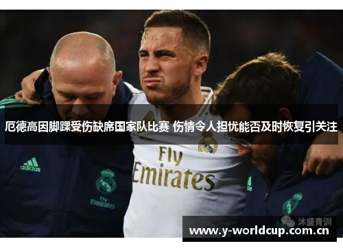 厄德高因脚踝受伤缺席国家队比赛 伤情令人担忧能否及时恢复引关注 厄德高因脚踝受伤缺席国家队比赛 伤情令人担忧能否及时恢复引关注