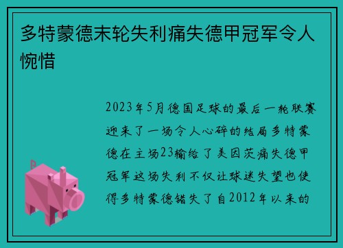 多特蒙德末轮失利痛失德甲冠军令人惋惜